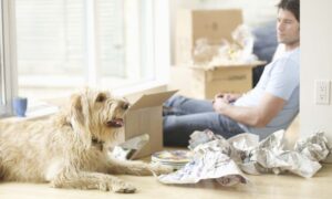 Moving with Pets: Tips for a Smooth Transition